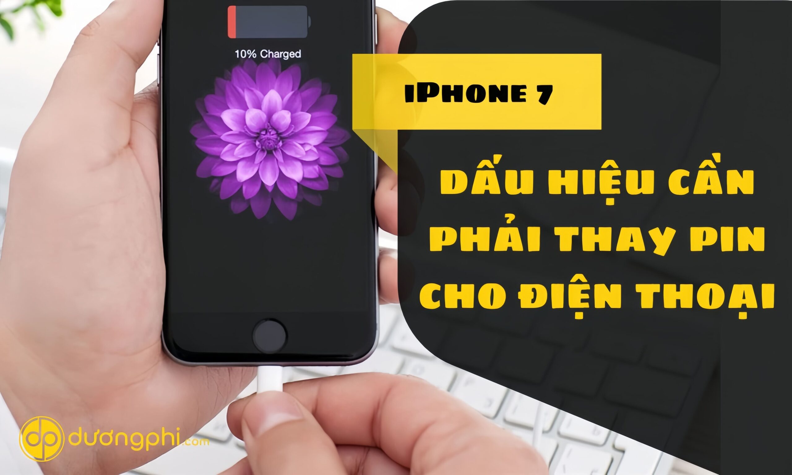 Pin-Chinh-Hang-Pisen-Dung-Luong-Sieu-Cao-Cho-Iphone-7-4