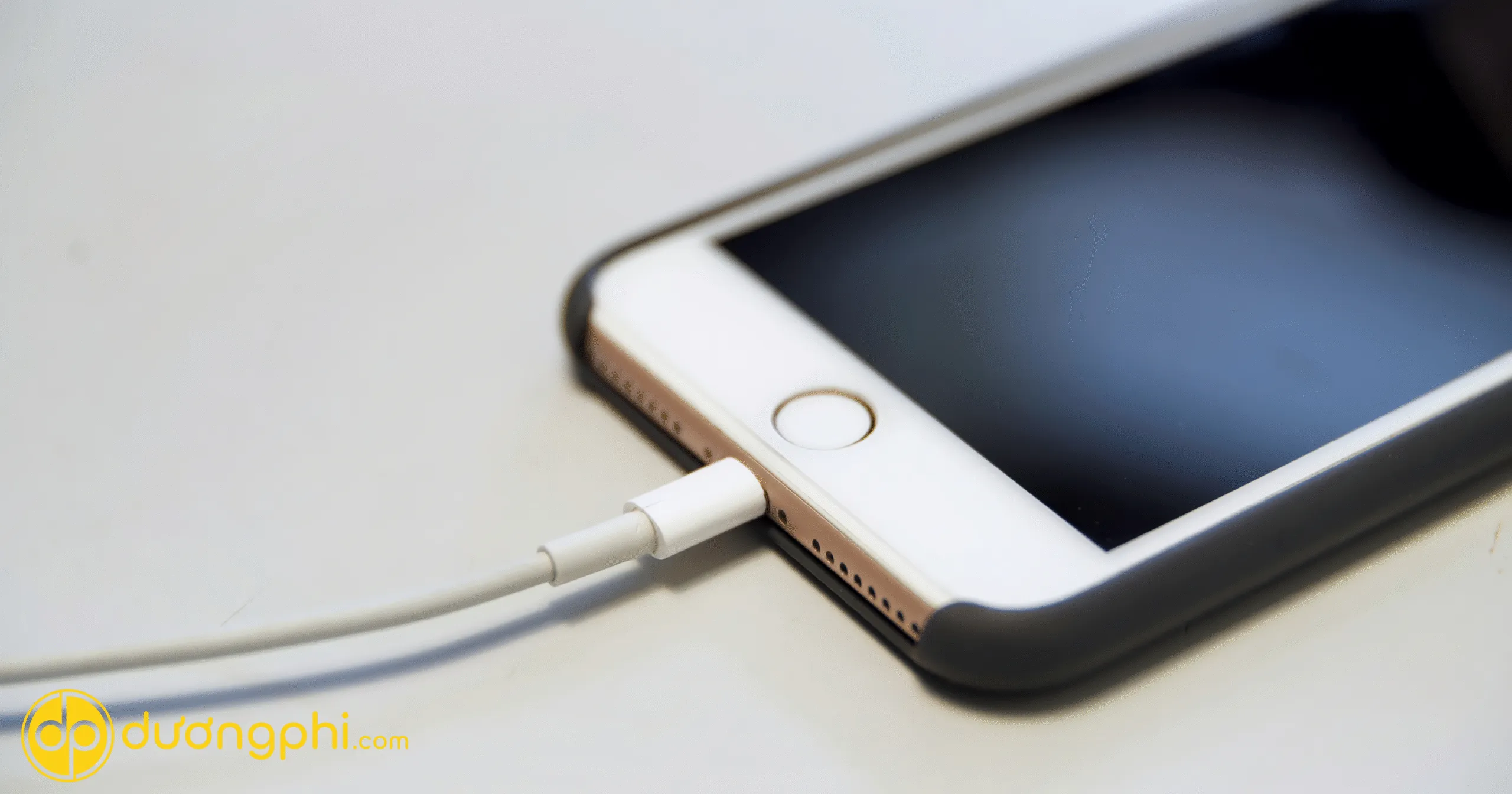 iphone-sac-pin